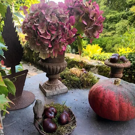 Holiday home La Chaumiere Style Au Coeur De La Nature *